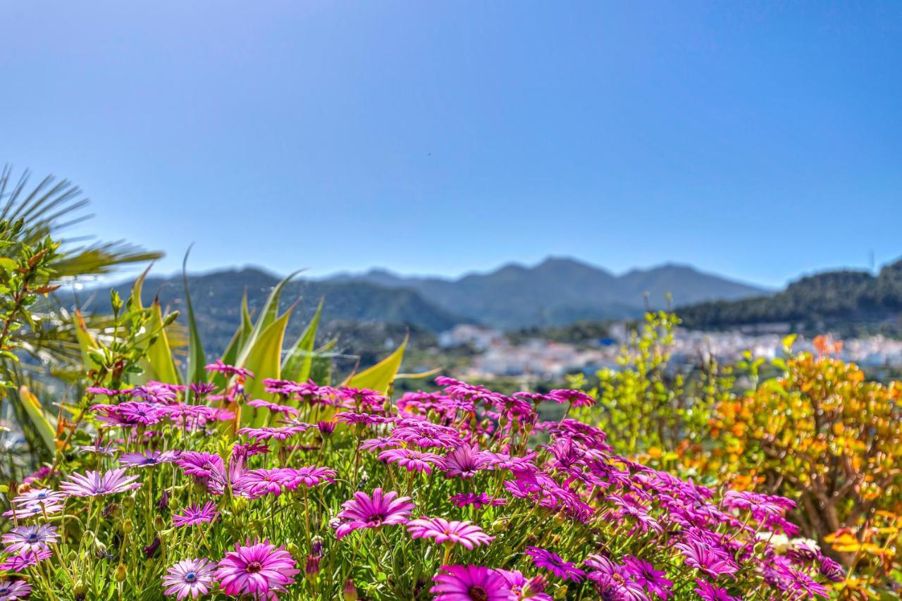 Monda Heights Close To Marbella Exterior foto